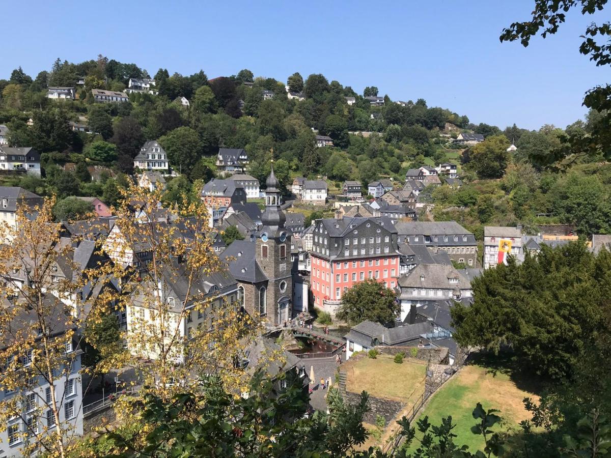 Villa Holgenbach - Penthouse- Und Ferienwohnung Im Nationalpark Eifel Schleiden Eksteriør bilde