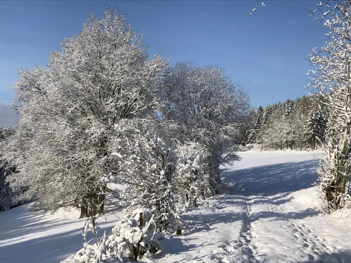 Villa Holgenbach - Penthouse- Und Ferienwohnung Im Nationalpark Eifel Schleiden Eksteriør bilde