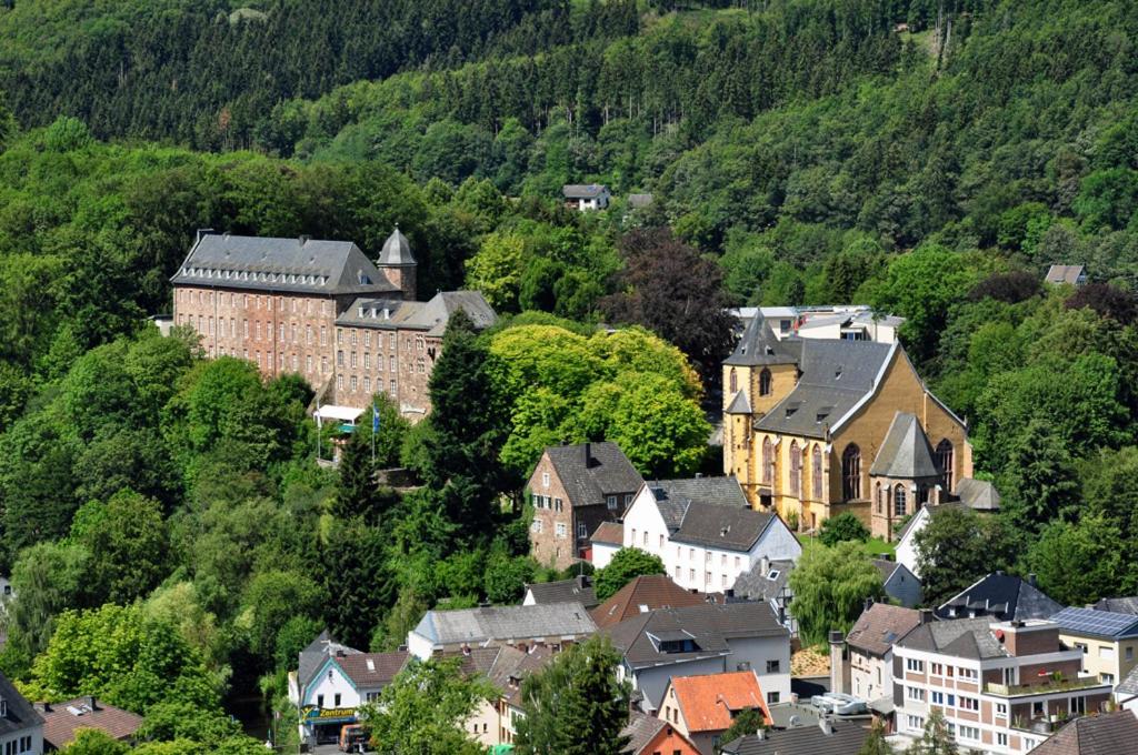 Villa Holgenbach - Penthouse- Und Ferienwohnung Im Nationalpark Eifel Schleiden Eksteriør bilde