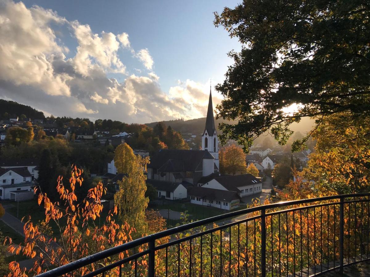 Villa Holgenbach - Penthouse- Und Ferienwohnung Im Nationalpark Eifel Schleiden Eksteriør bilde
