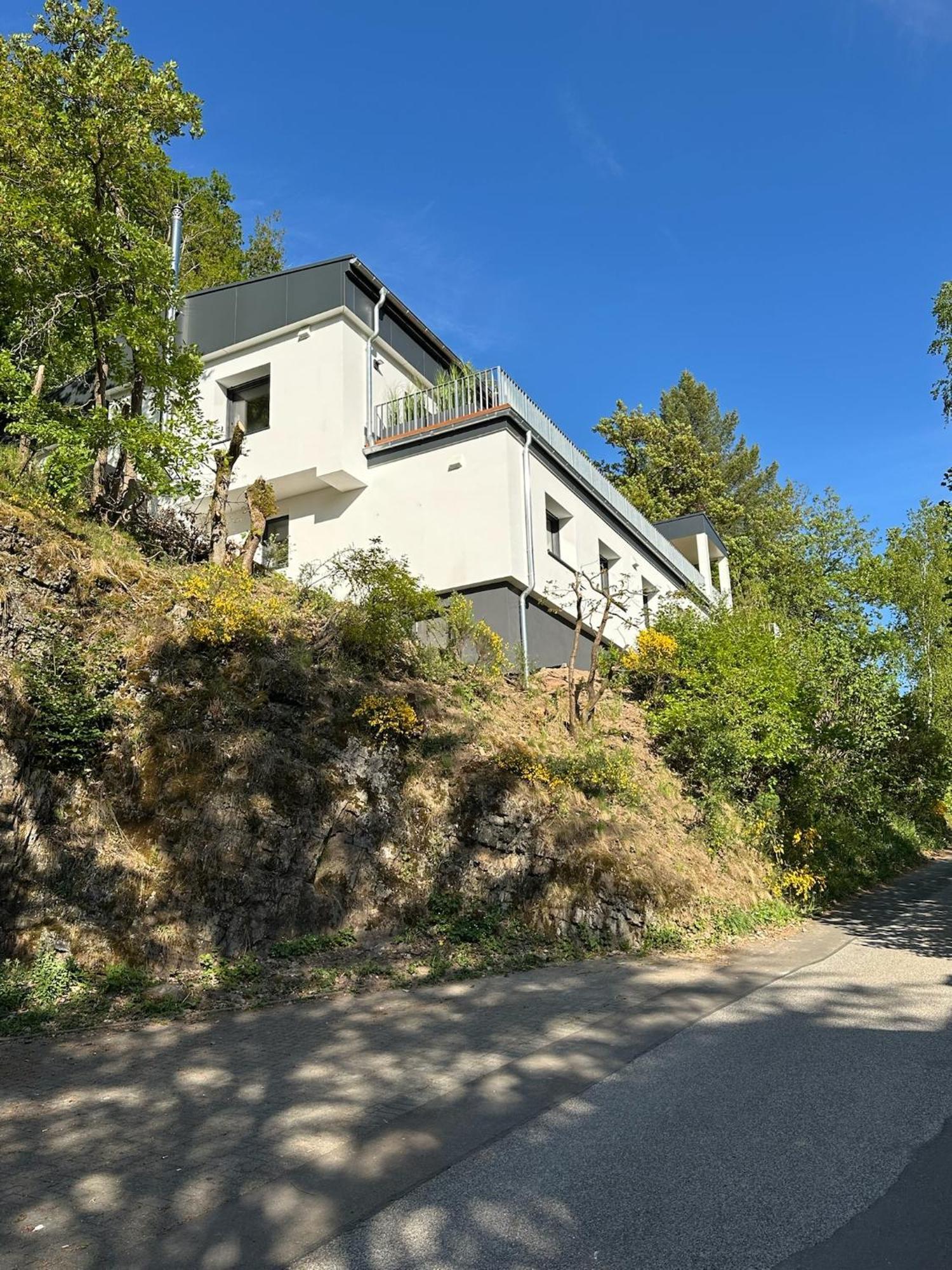 Villa Holgenbach - Penthouse- Und Ferienwohnung Im Nationalpark Eifel Schleiden Eksteriør bilde