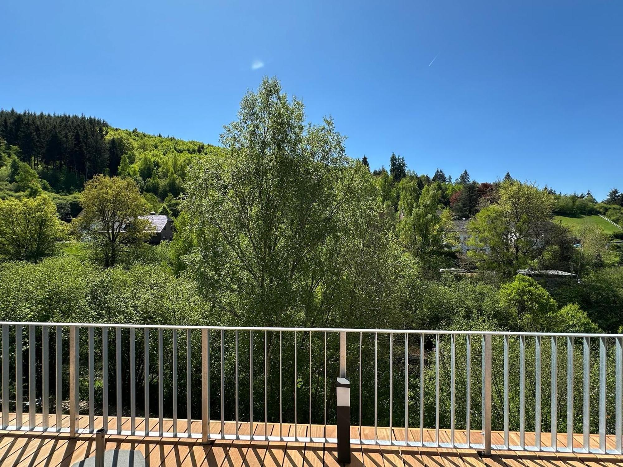 Villa Holgenbach - Penthouse- Und Ferienwohnung Im Nationalpark Eifel Schleiden Eksteriør bilde