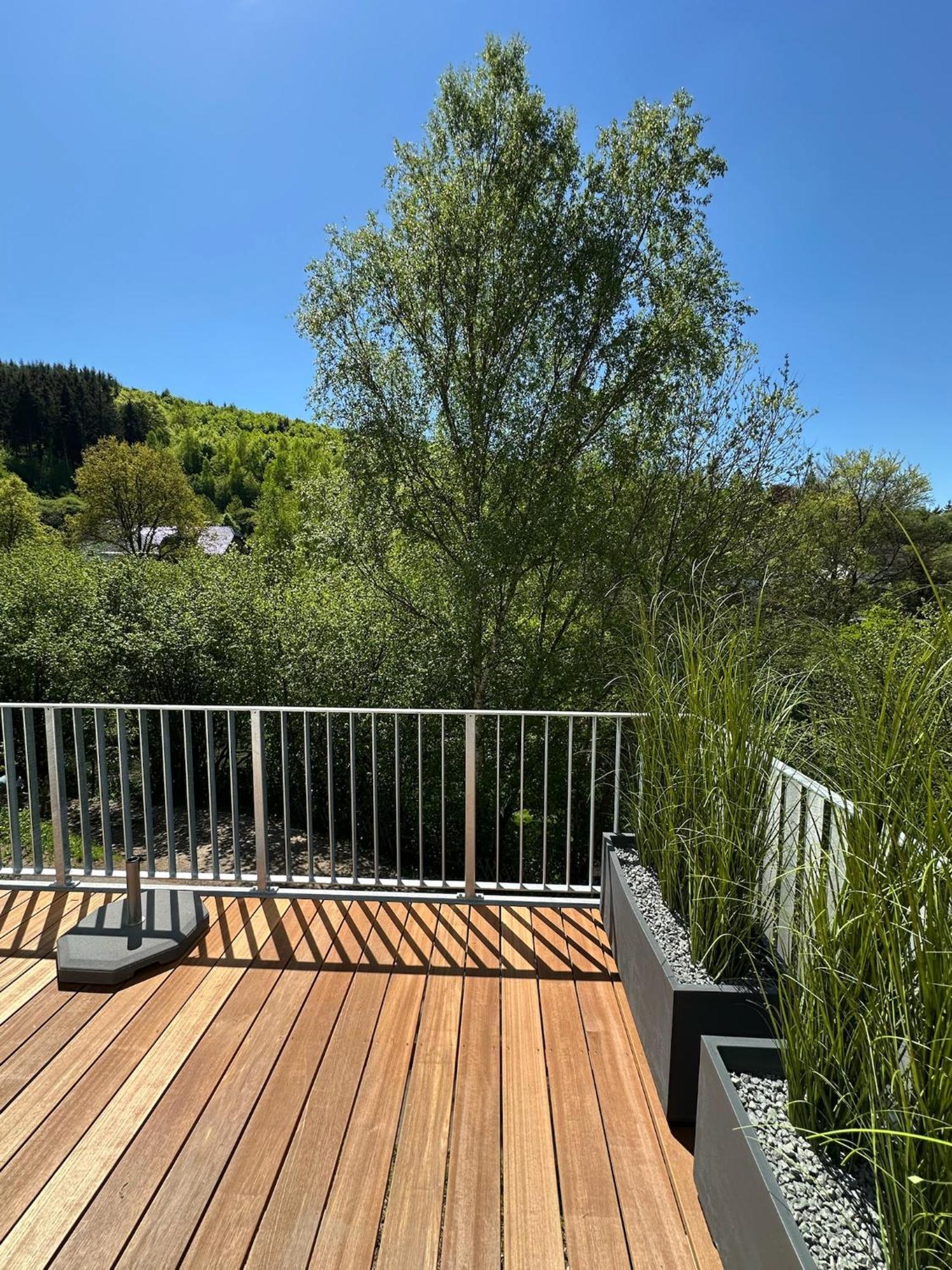 Villa Holgenbach - Penthouse- Und Ferienwohnung Im Nationalpark Eifel Schleiden Eksteriør bilde